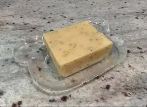 Soap Dish